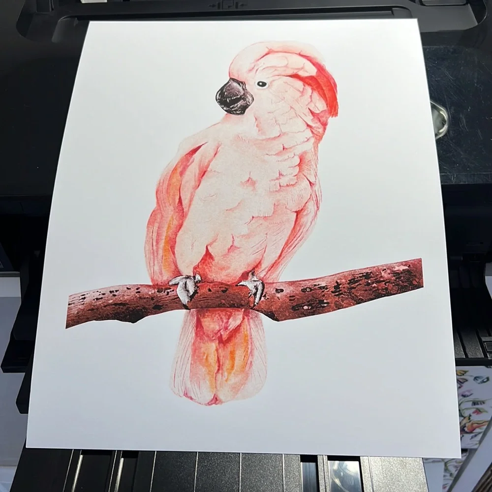 Wall Art Tropical Bird Portrait Print Unframed - Picture 8 of 15